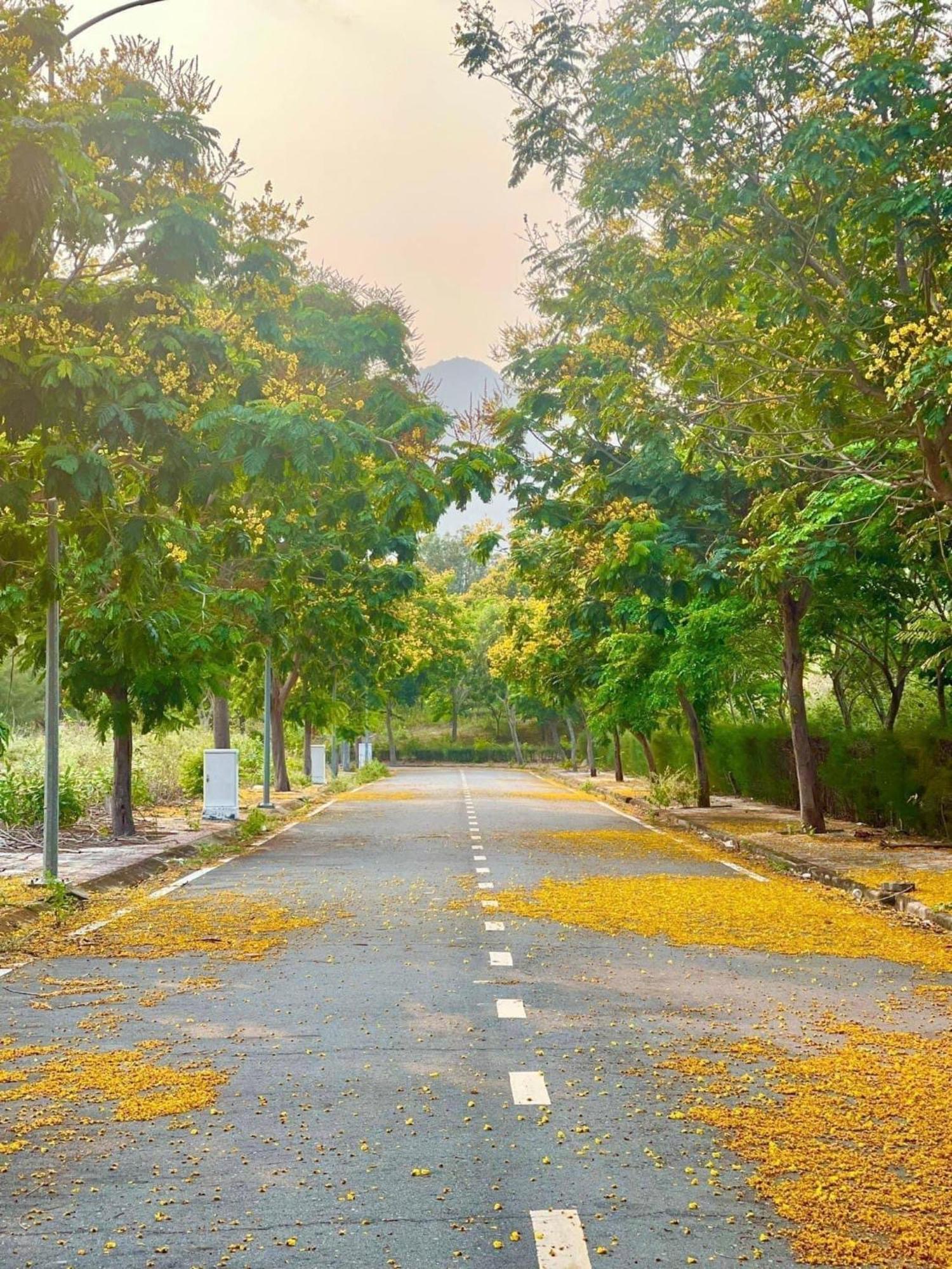 โรงแรมเดอะวิว Cam Lam ภายนอก รูปภาพ